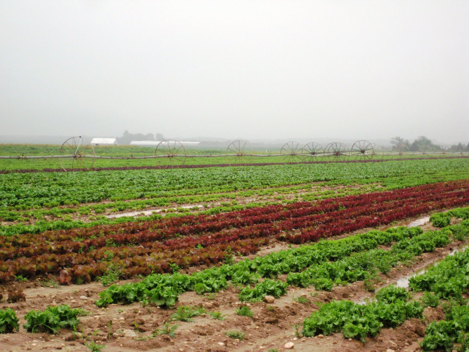 Tax Grievance Riverhead Property Tax Grievance Heller & Consultants